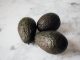 Hälsosamma recept för bättre hudhälsa illustration