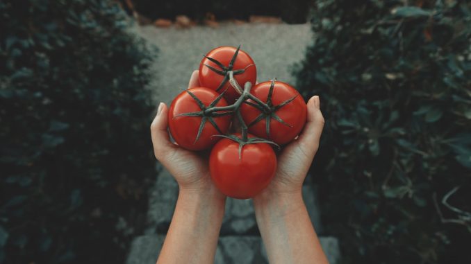 Livsstilsförändringar för att minska inflammation i kroppen illustration